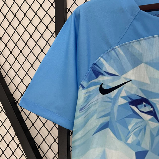 Camisa Holanda Edição Especial Leão 2024/25 Azul Celeste - Nike - Masculino Torcedor
