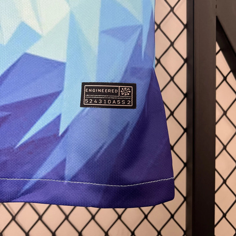 Camisa Holanda Edição Especial Leão 2024/25 Azul Celeste - Nike - Masculino Torcedor