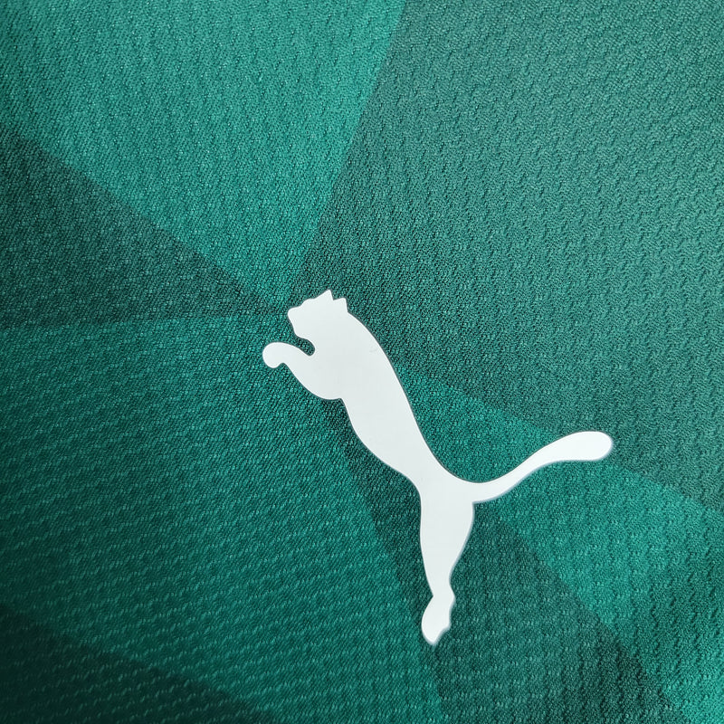 Camisa Palmeiras 2023/24 Manga Longa Verde