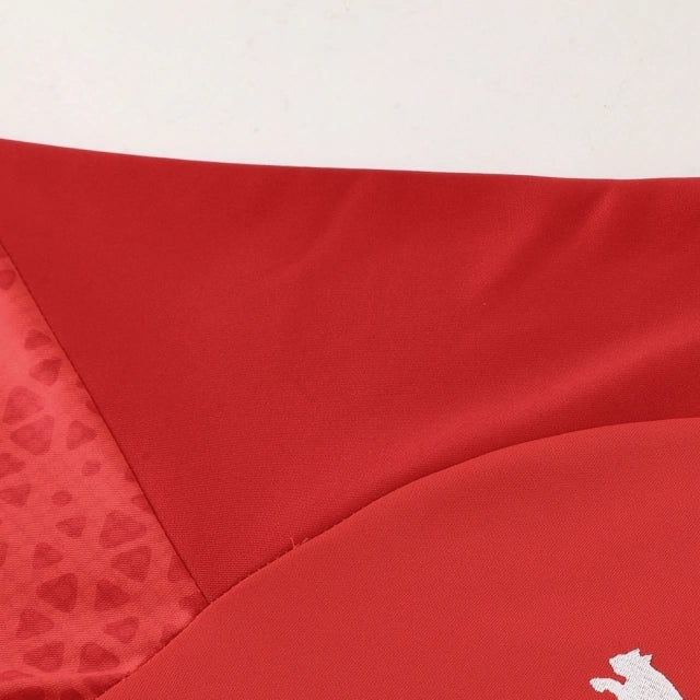 Conjunto de Treino Puma Vermelho / 374