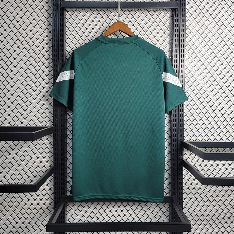 Camisa Palmeiras 2023/24 treino verde