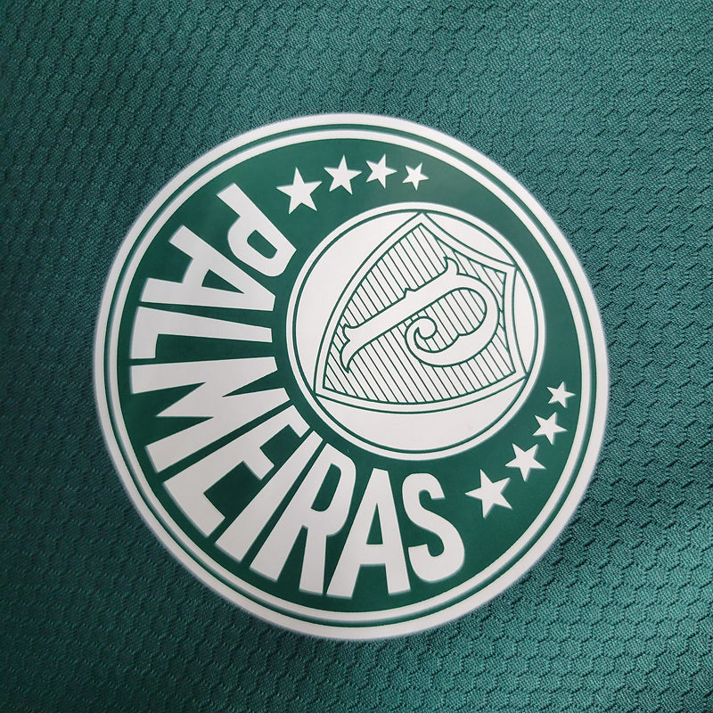 Camisa Palmeiras 2023/24 treino verde