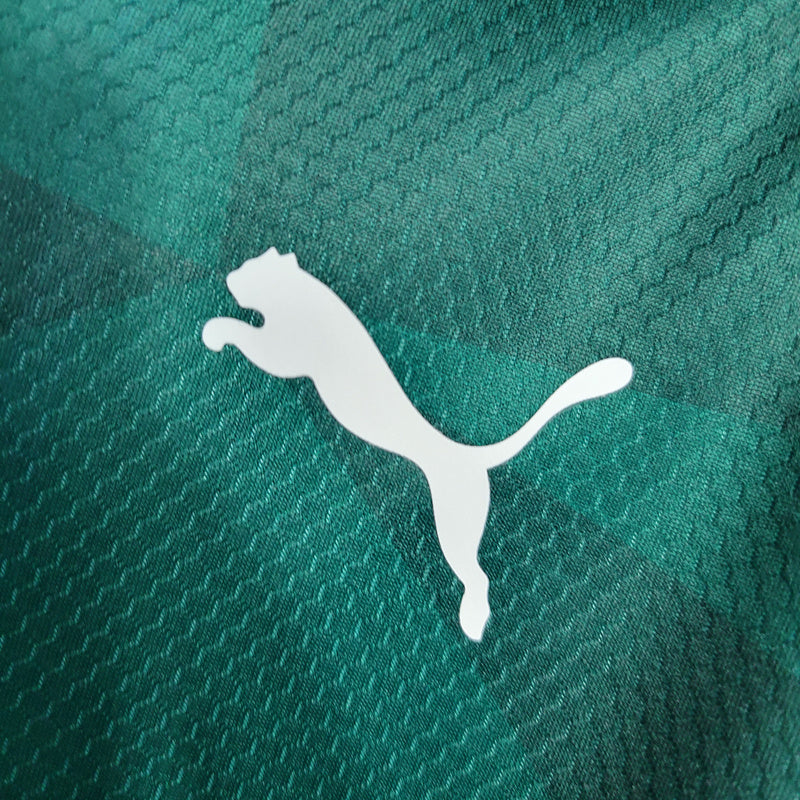Camisa Palmeiras 2023/24 Feminina  Home