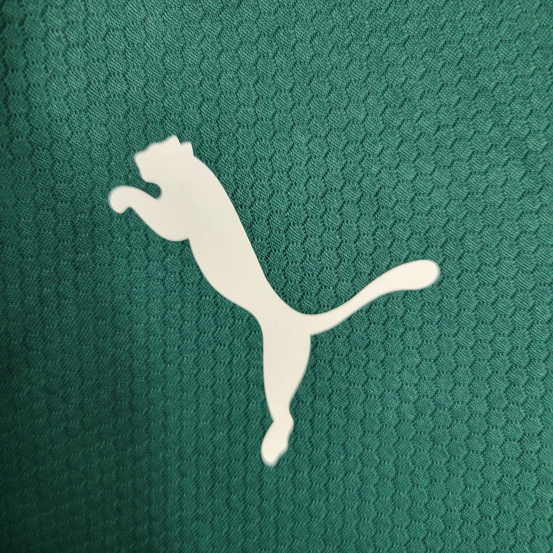 Camisa Palmeiras 2023/24 treino verde